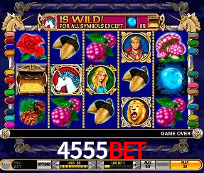 Descubra o Mundo do Cassino Online com 4555bet